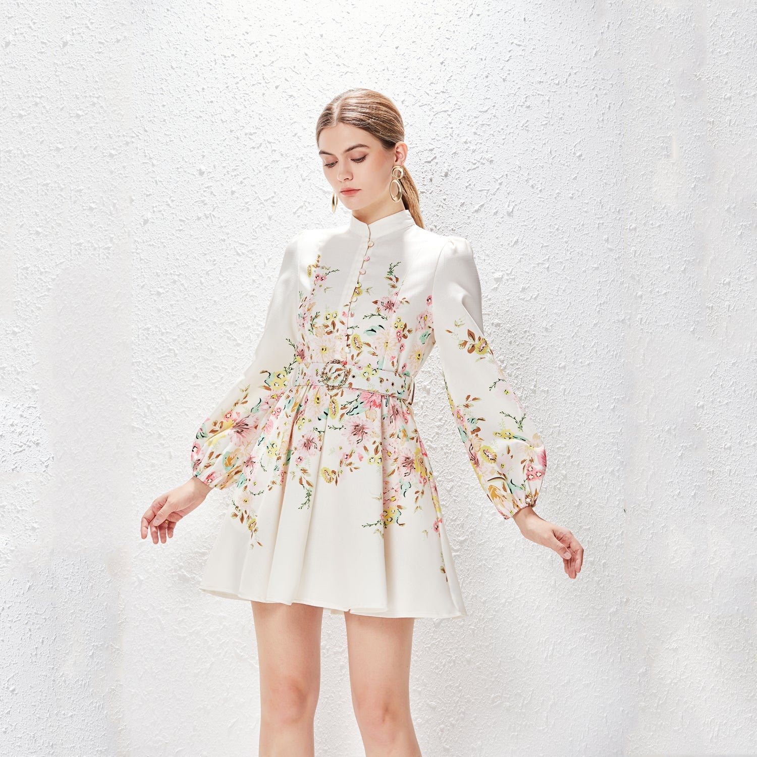 Spring Summer Stand Collar Single Breasted Lantern Sleeve Positioning Printed Dress