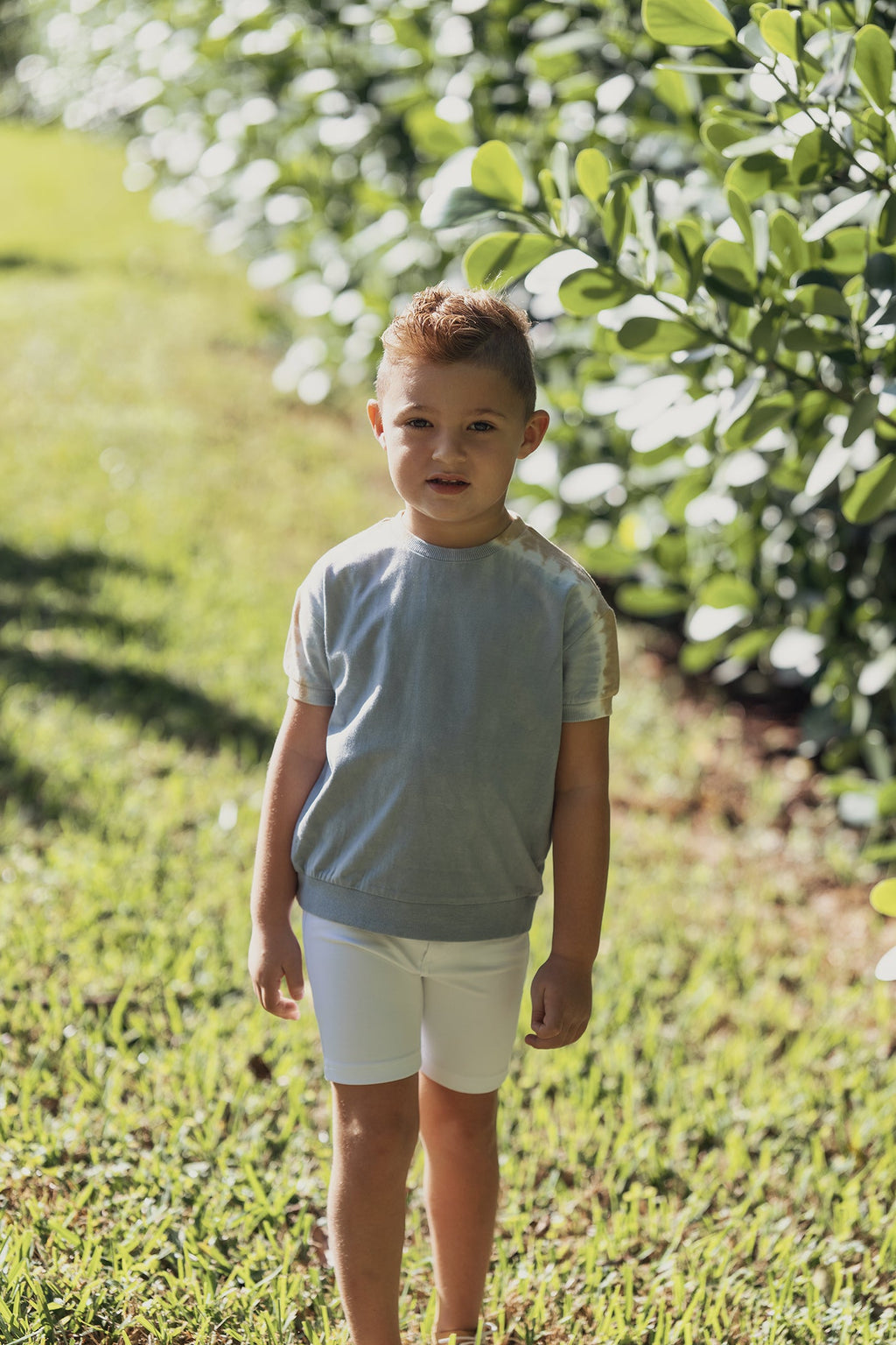 Ponte Short Pant