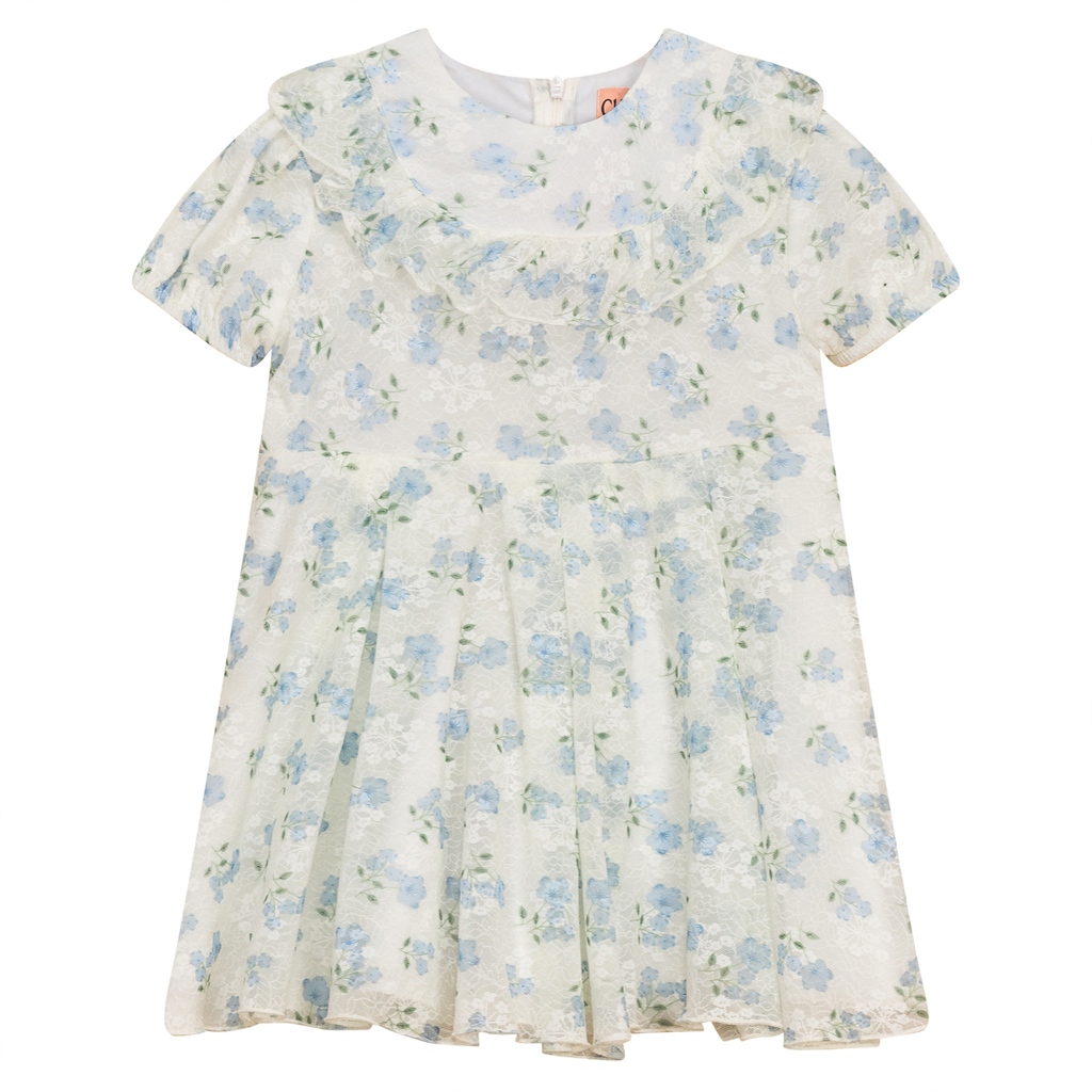 Dress with Ruffle