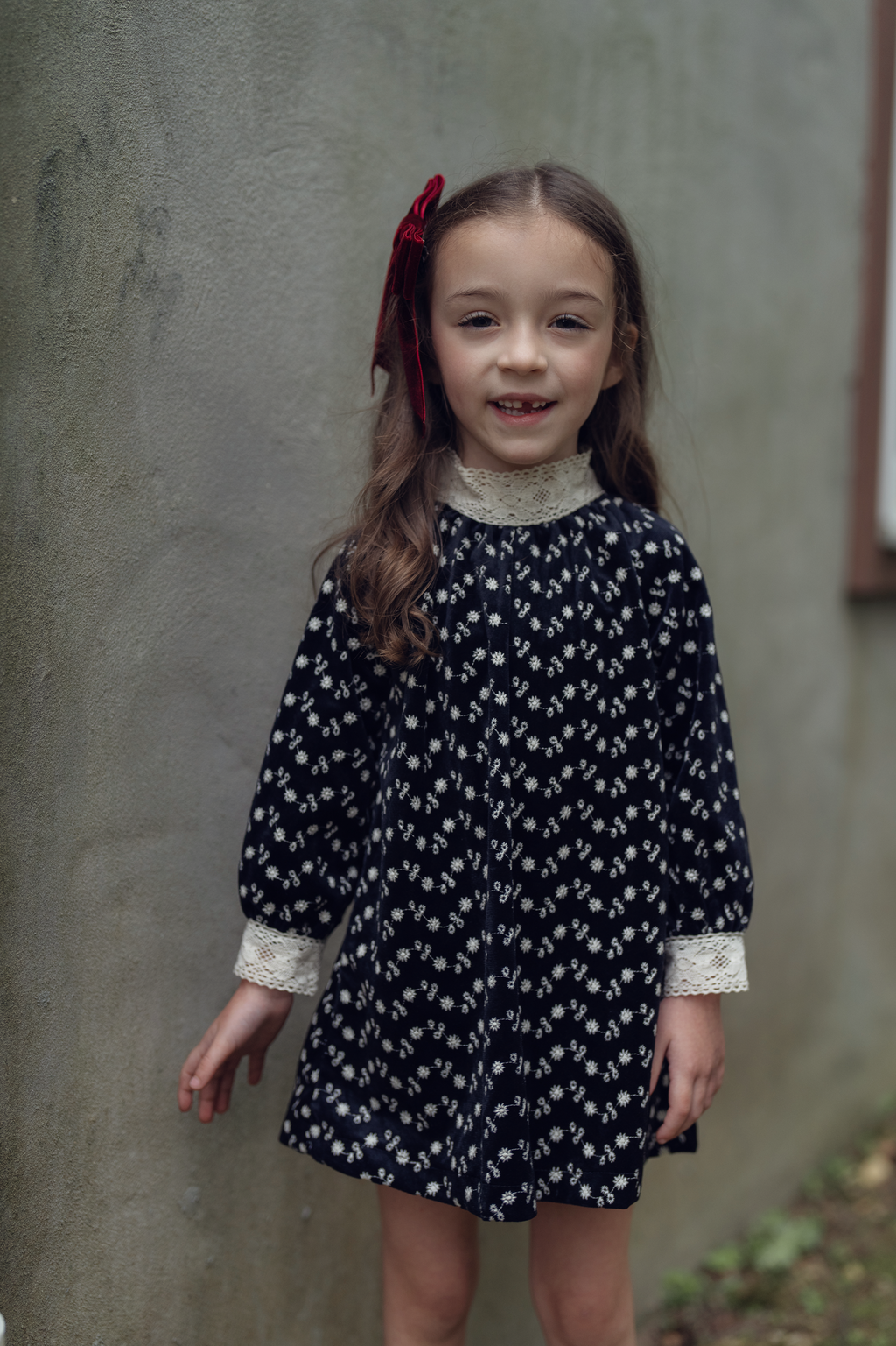 Embroidered Velvet Dress