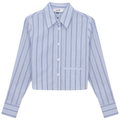 Cropped Stripped Blouse