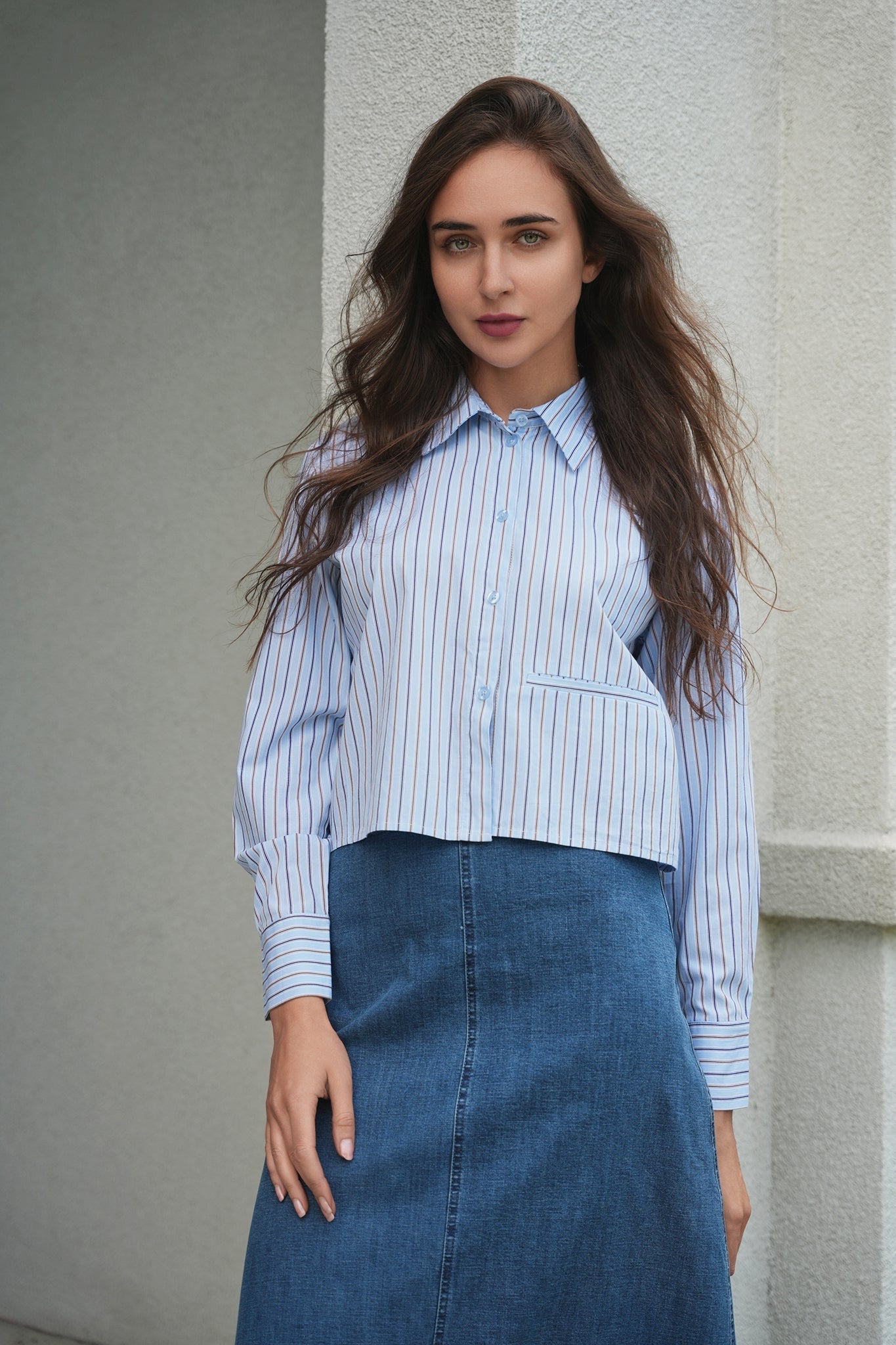 Cropped Stripped Blouse
