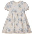 Woven Flower Embroidered Dress