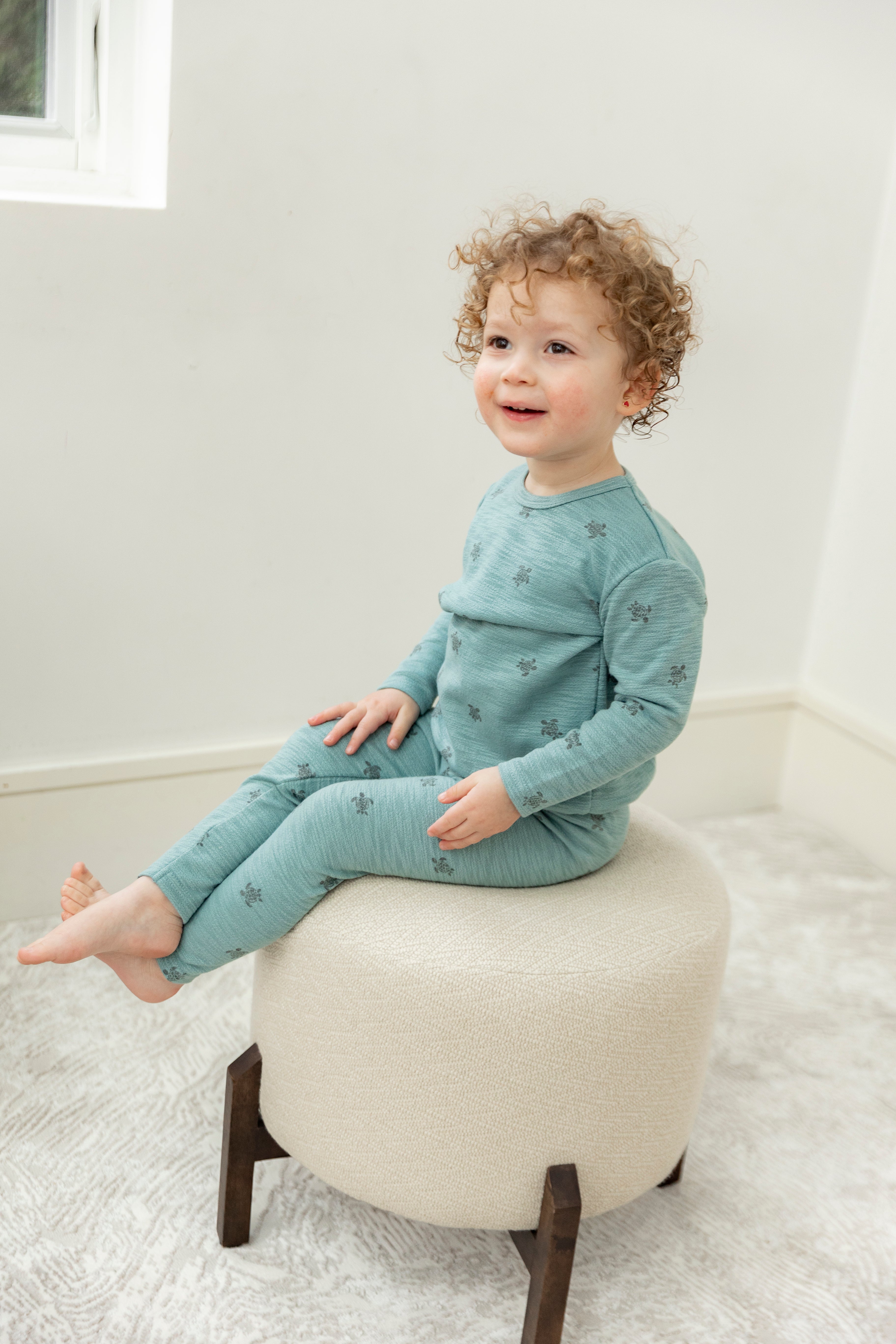 Butterfly Turtle Printed 2Pc Set