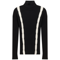 Knit Turtle Neck Cable Top
