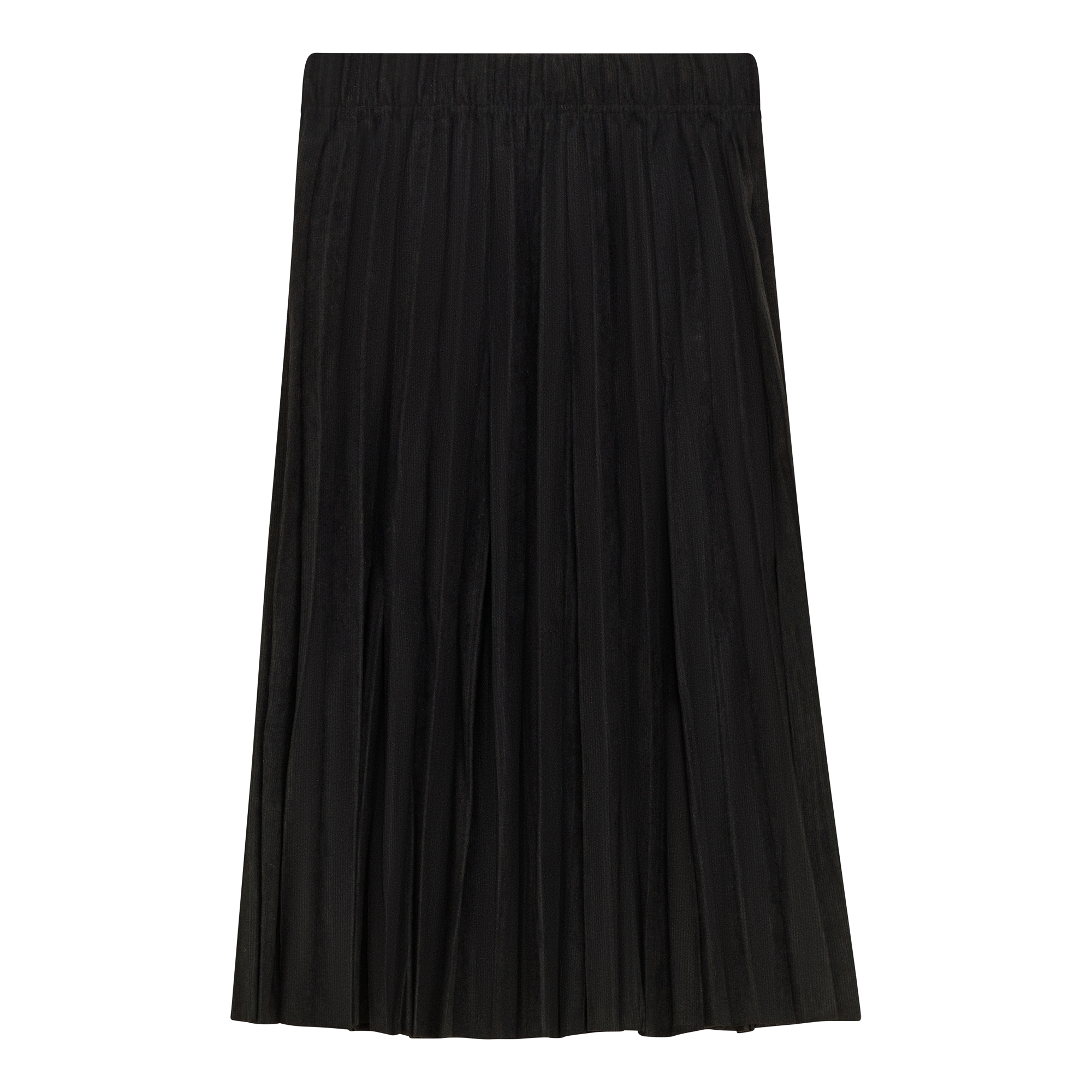 Crinkle Woven Pleated Skirt