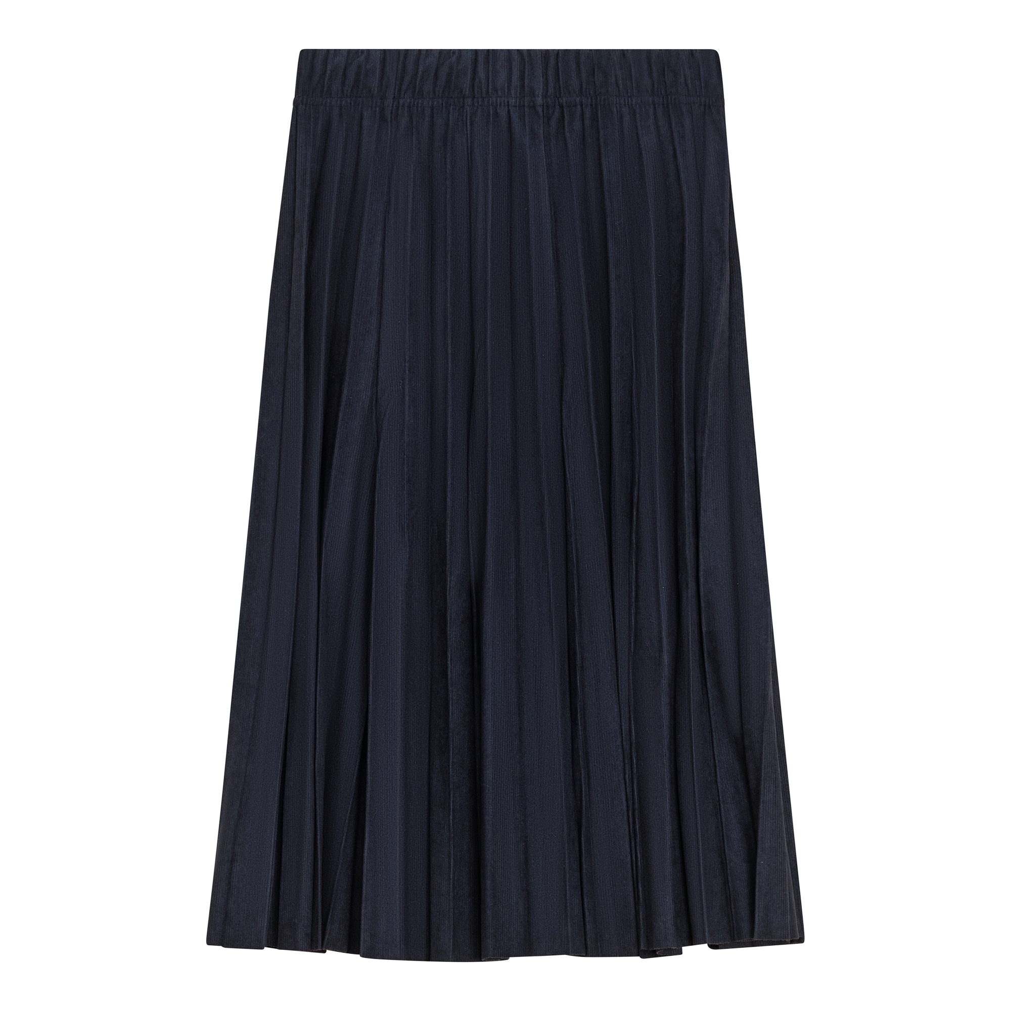 Crinkle Woven Pleated Skirt