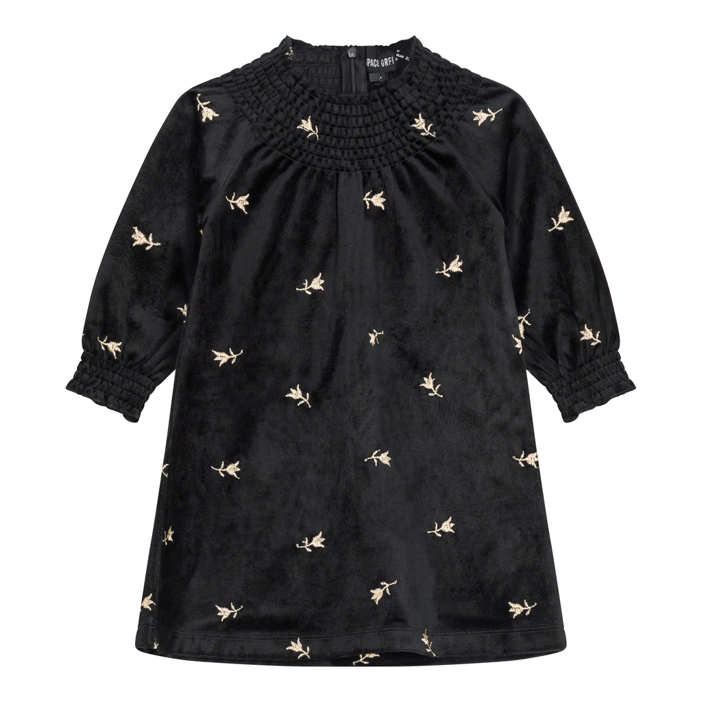 Embroidered Velour Dress