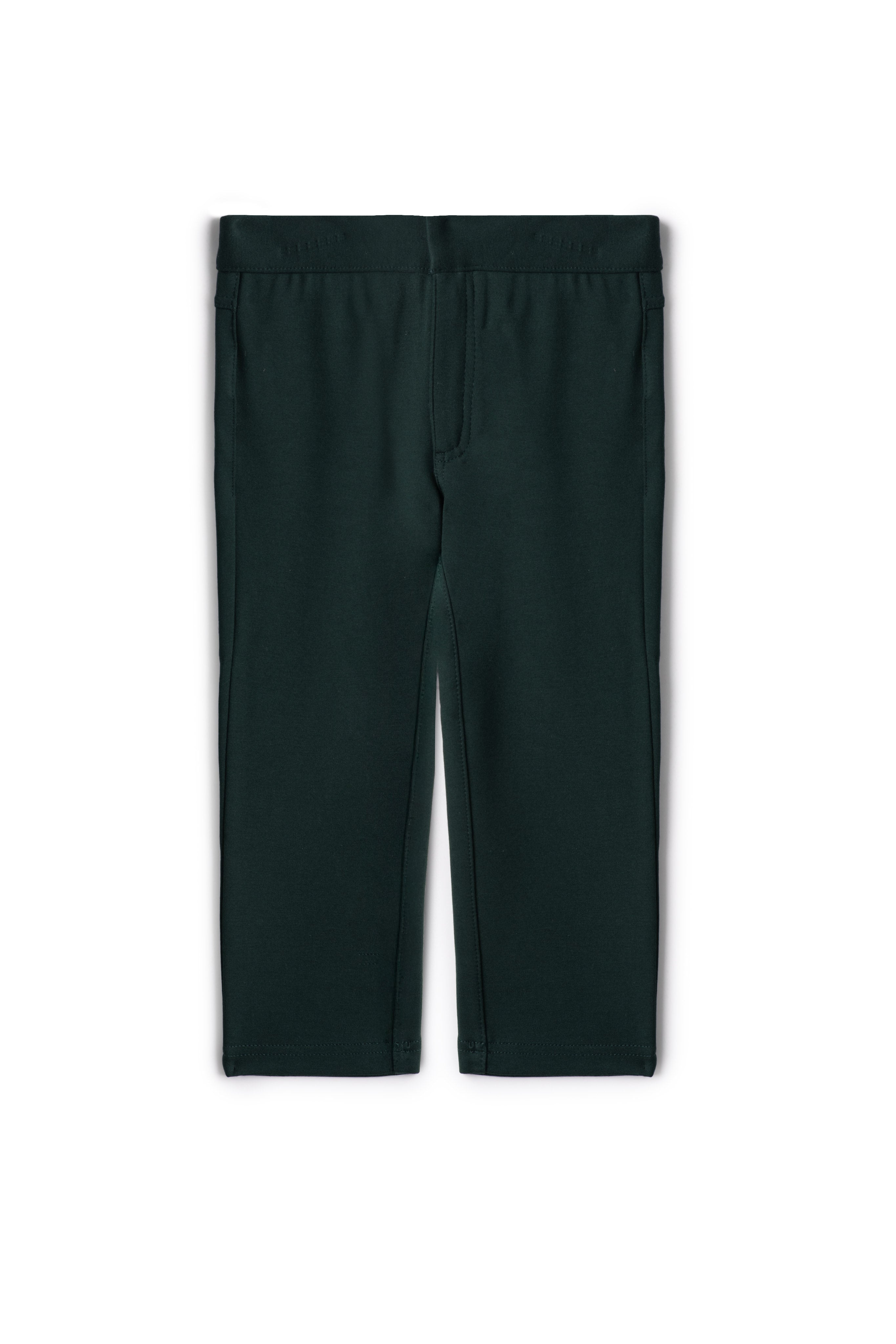 Ponte Skinny Pant