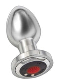 Nasstoys Ass Sation Remote Vibrating Metal Plug