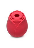 Spoil Me! The Rose Lover’s Gift Box Bloomgasm