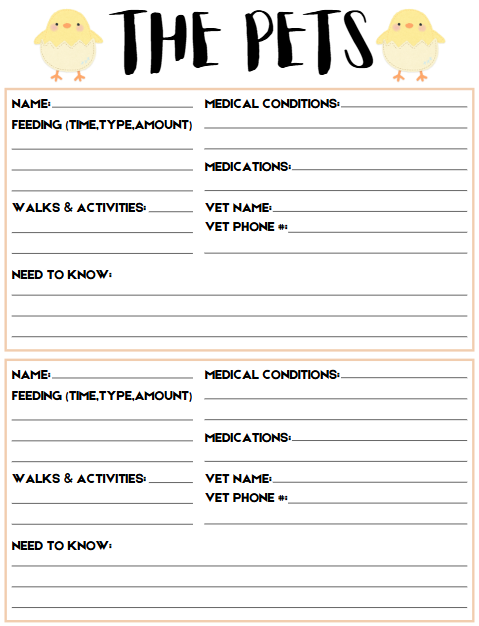 Babysitter Binder | 17-Page Editable Canva Template
