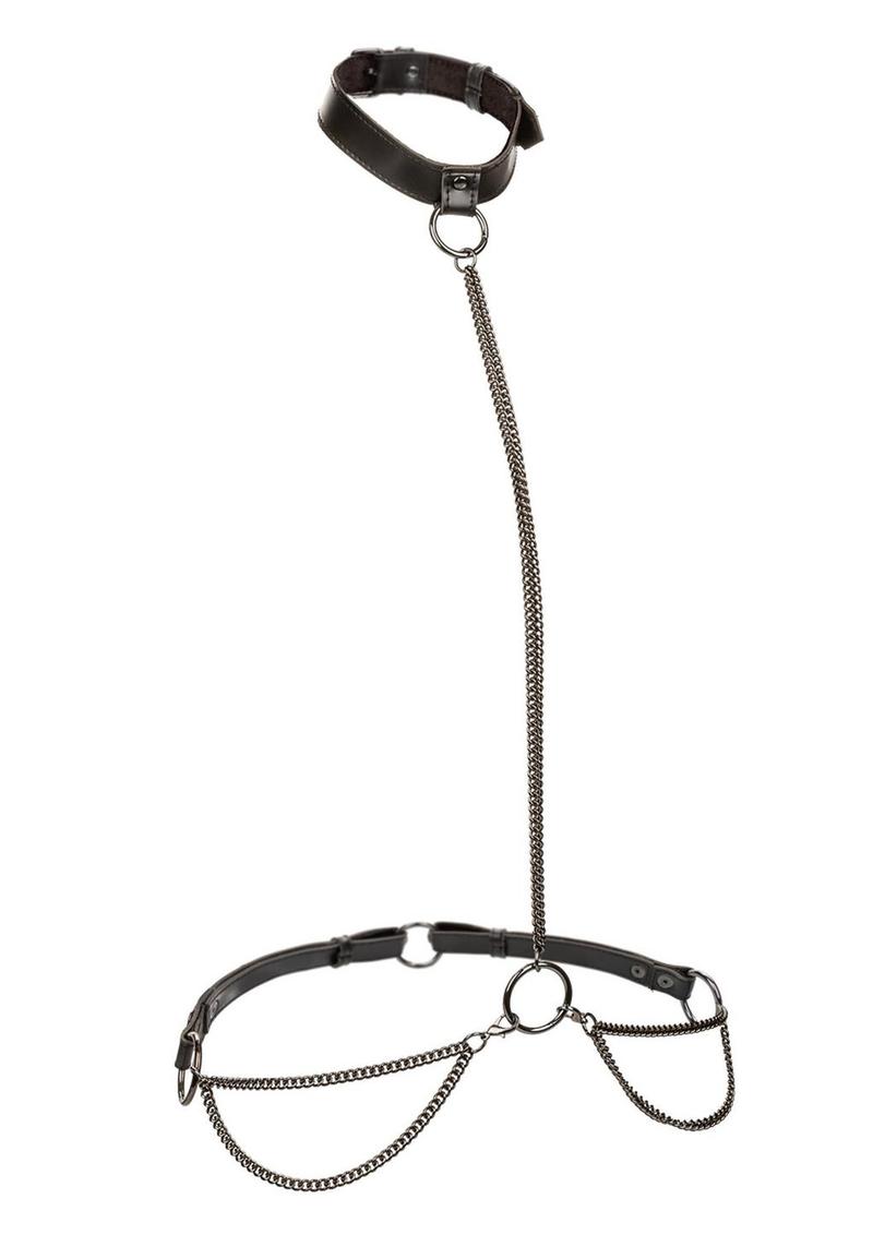 Euphoria Chain Halter Collar And Leash