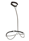 Euphoria Chain Halter Collar And Leash