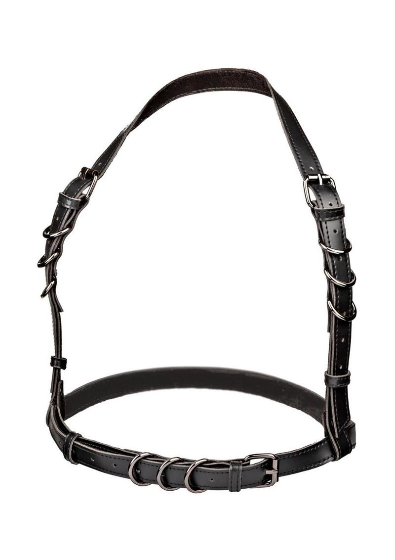 CalExotics Euphoria Plus Size Halter Buckle Harness