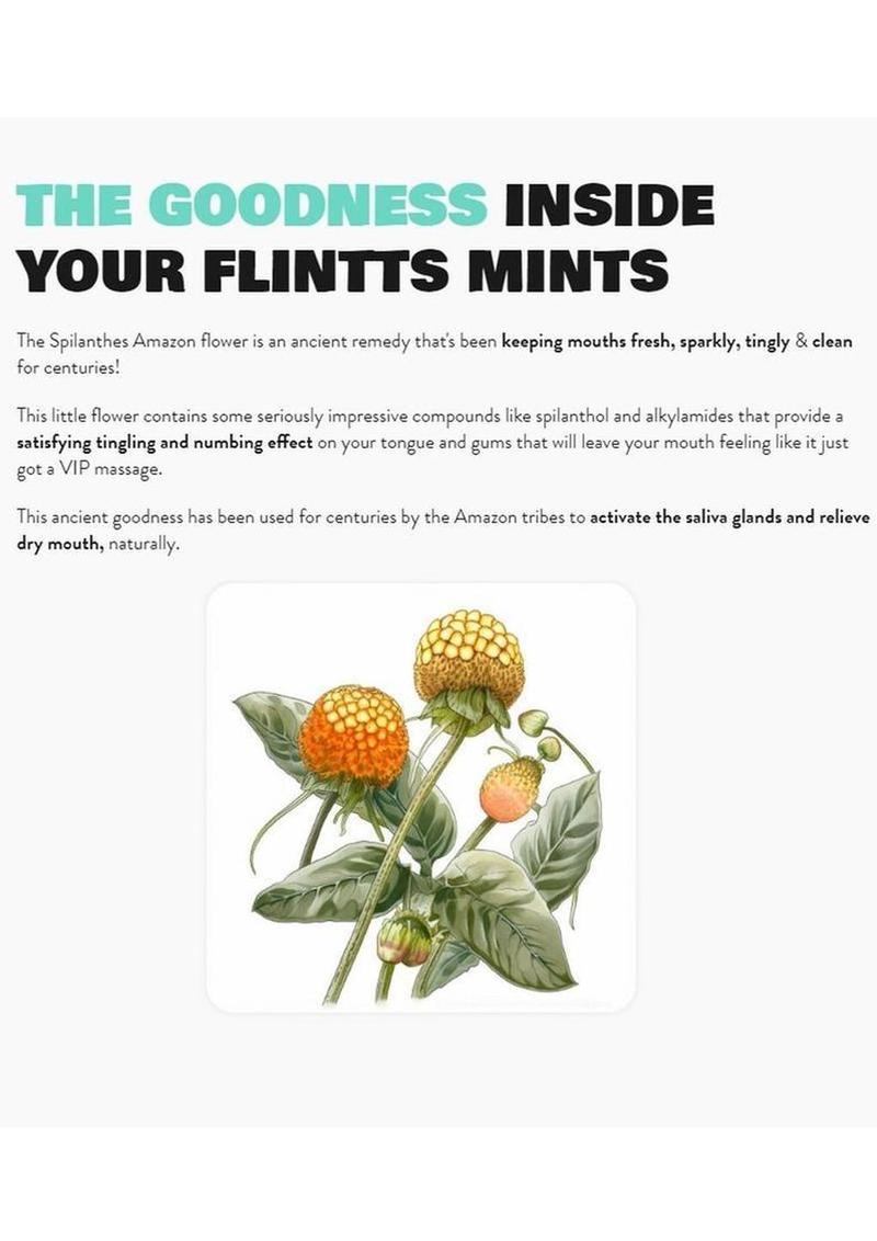 Flintts Sour Tangerine Mouth Watering Mints