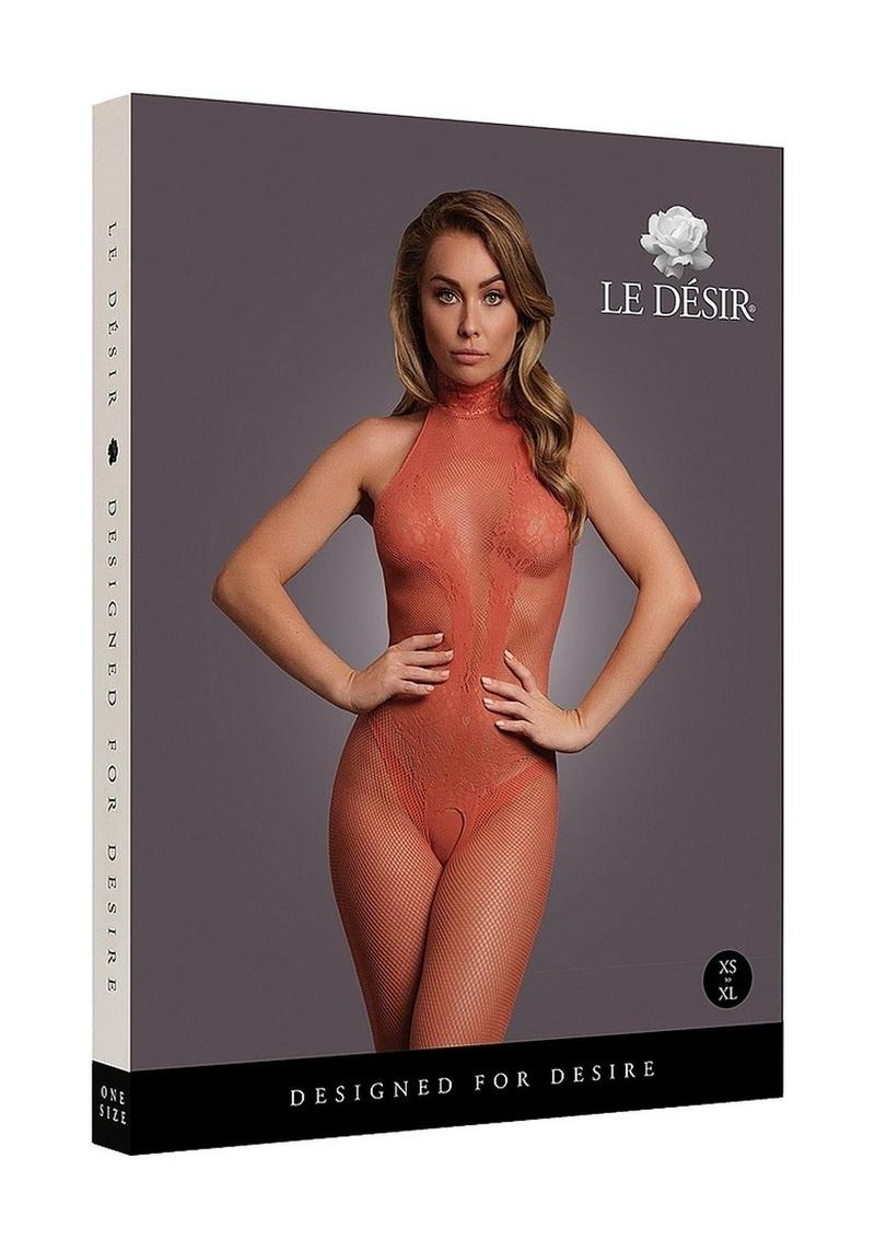 Le Desir Fishnet and Lace Bodystocking