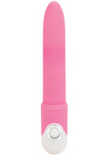 Shane's World Sorority Rush Vibrator
